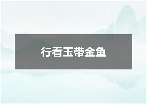 行看玉带金鱼