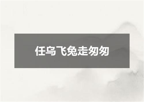 任乌飞兔走匆匆