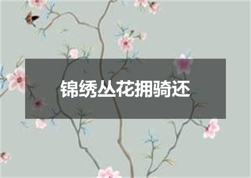 锦绣丛花拥骑还