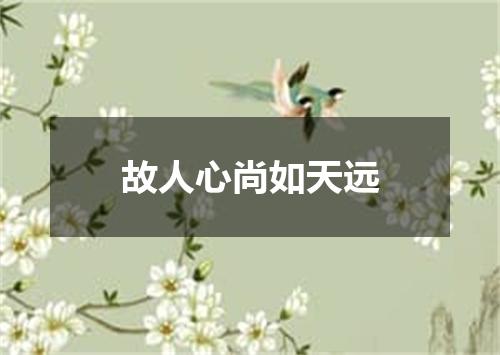 故人心尚如天远