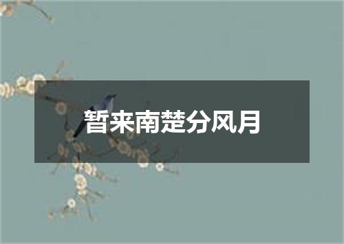 暂来南楚分风月