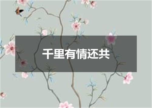 千里有情还共
