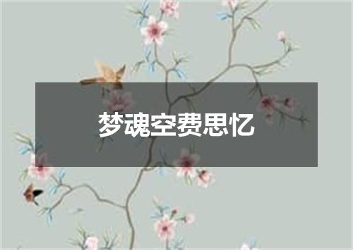 梦魂空费思忆