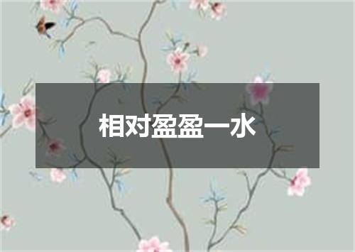相对盈盈一水