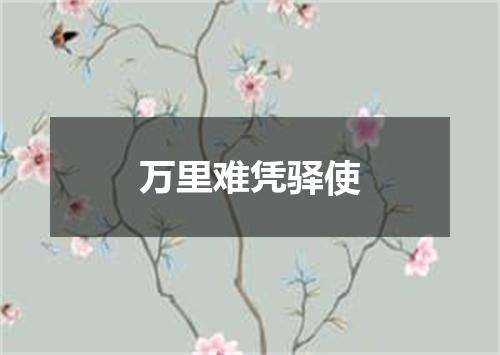 万里难凭驿使