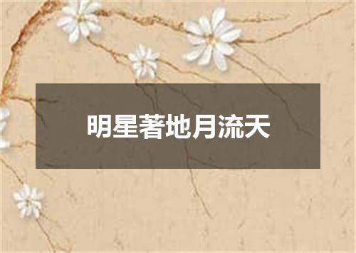 明星著地月流天