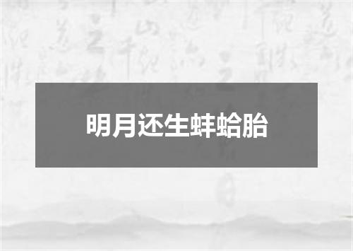 明月还生蚌蛤胎