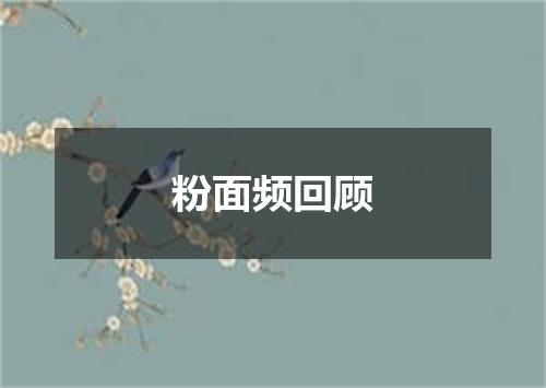 粉面频回顾