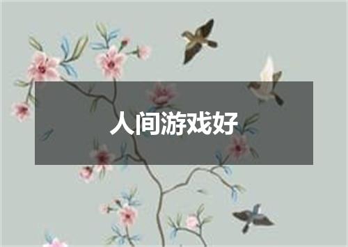人间游戏好