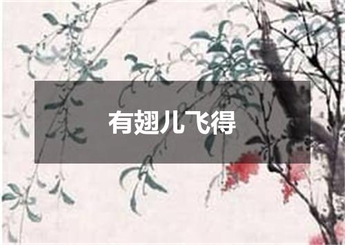 有翅儿飞得
