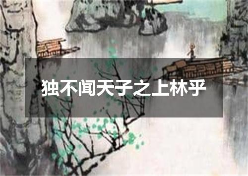 独不闻天子之上林乎