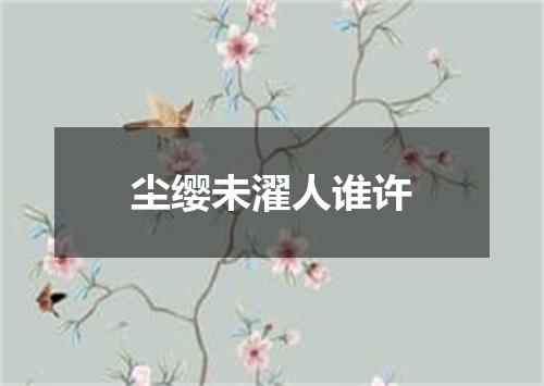 尘缨未濯人谁许
