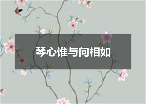琴心谁与问相如
