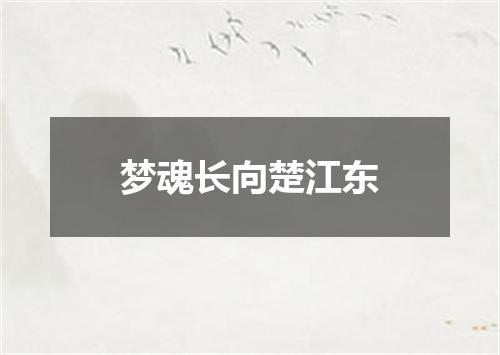梦魂长向楚江东