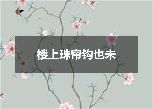 楼上珠帘钩也未