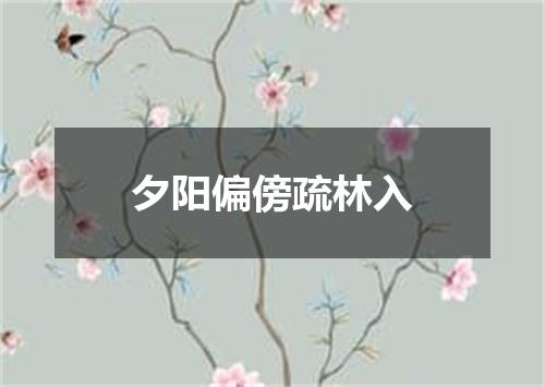 夕阳偏傍疏林入