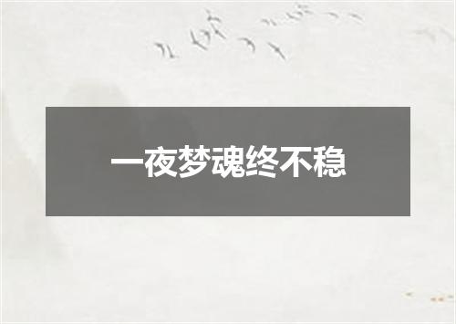 一夜梦魂终不稳