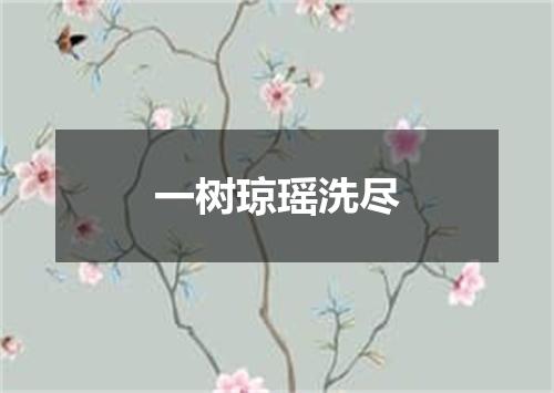 一树琼瑶洗尽