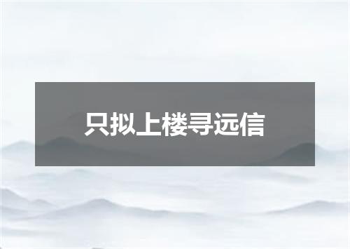 只拟上楼寻远信