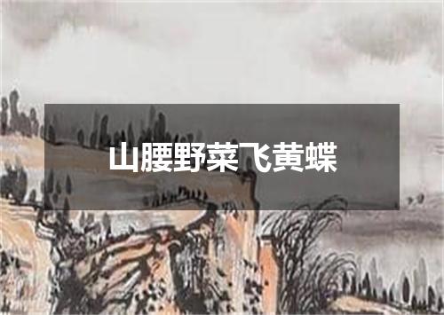 山腰野菜飞黄蝶