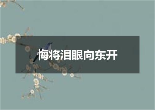 悔将泪眼向东开