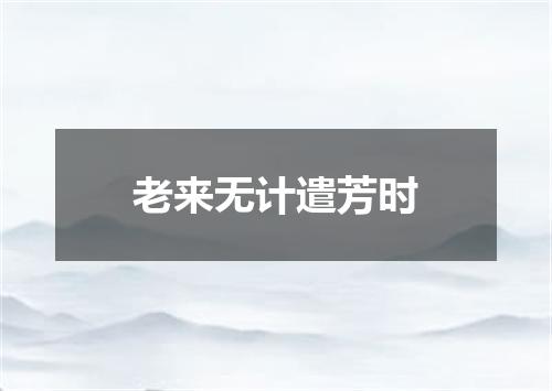 老来无计遣芳时