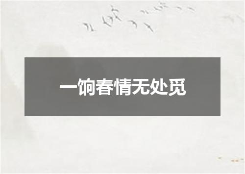 一饷春情无处觅