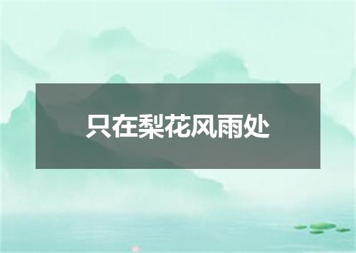 只在梨花风雨处