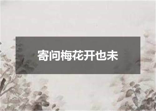 寄问梅花开也未