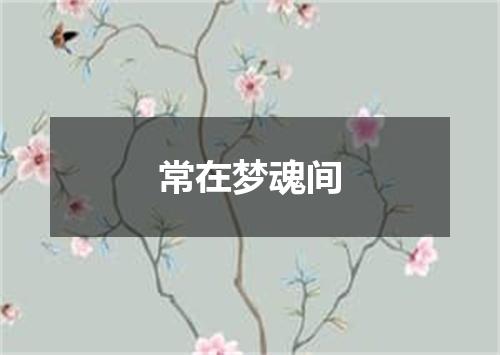 常在梦魂间