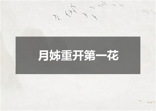 月姊重开第一花