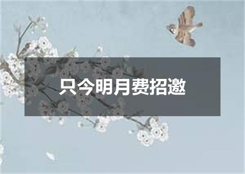只今明月费招邀