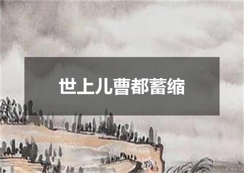 世上儿曹都蓄缩