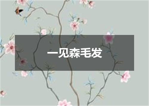 一见森毛发