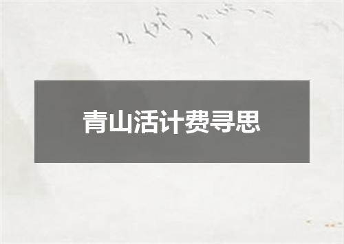 青山活计费寻思