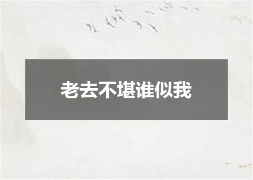 老去不堪谁似我