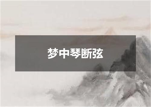 梦中琴断弦