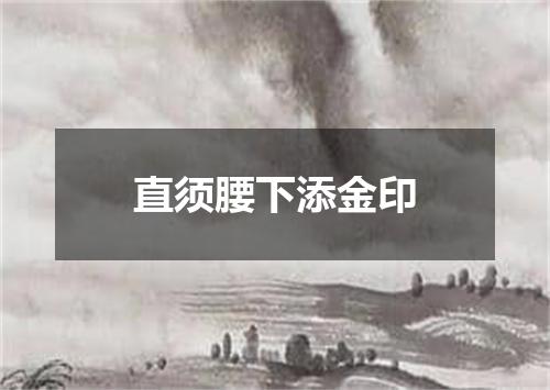 直须腰下添金印