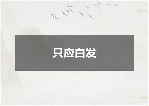 只应白发