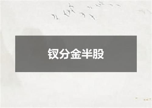 钗分金半股
