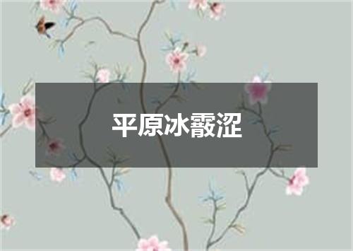 平原冰霰涩