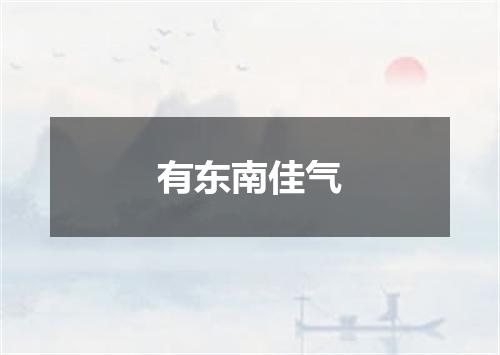 有东南佳气