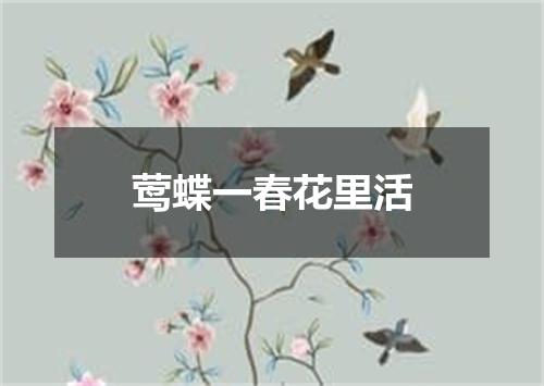 莺蝶一春花里活