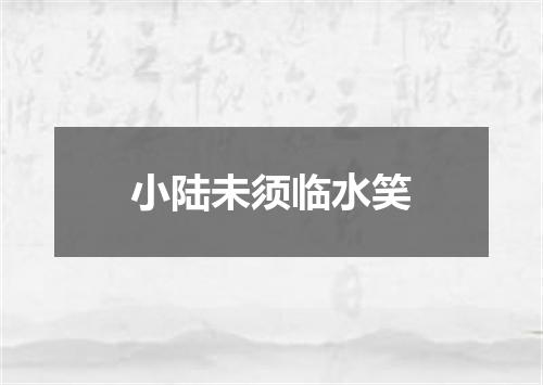 小陆未须临水笑