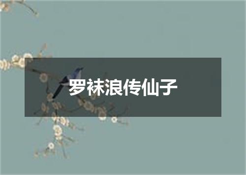 罗袜浪传仙子