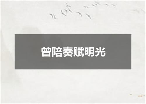 曾陪奏赋明光