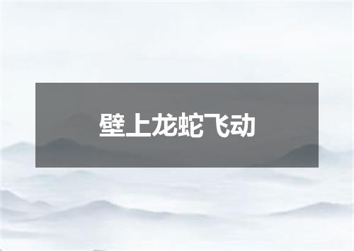 壁上龙蛇飞动