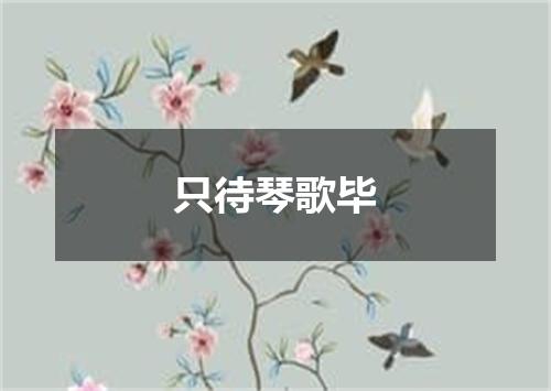 只待琴歌毕