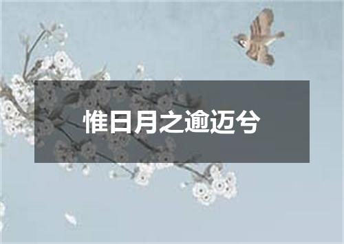 惟日月之逾迈兮