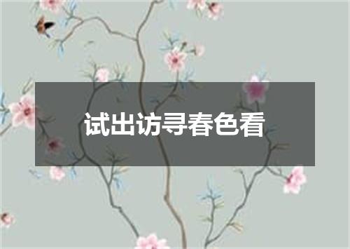 试出访寻春色看